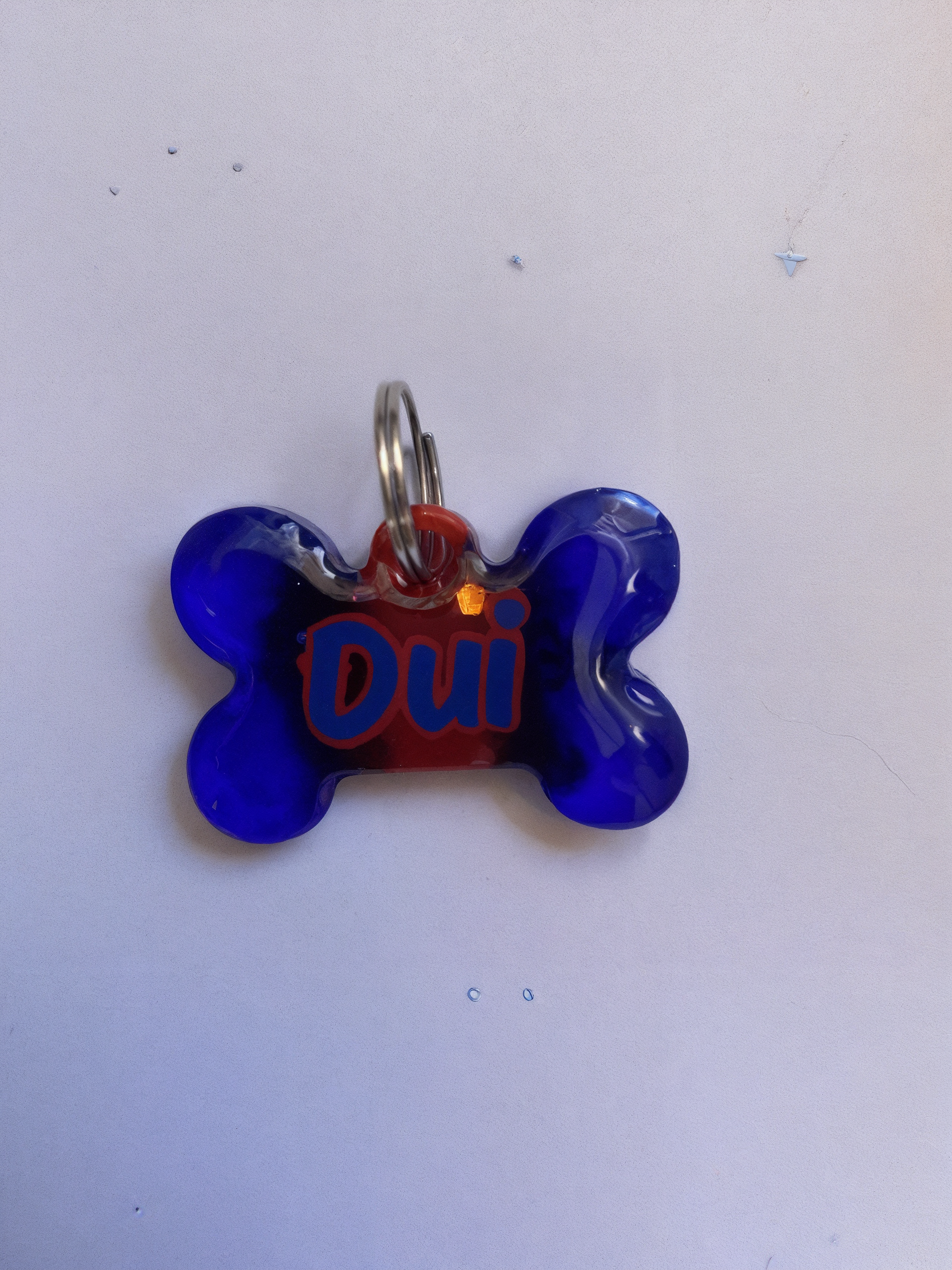 Placa Resina Hueso Pigmento duo